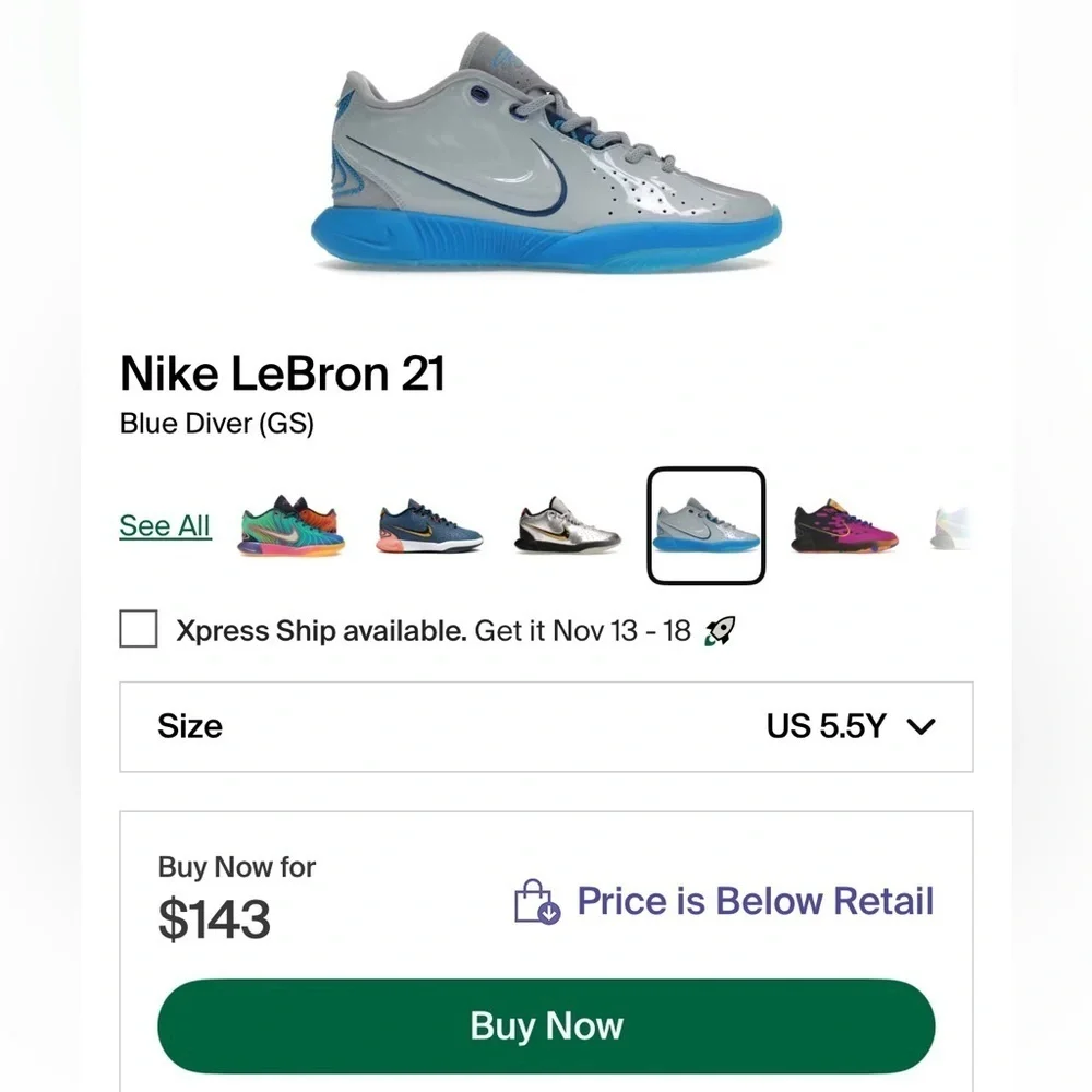 Nike Lebron James 21  Gs NWOT
